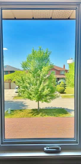 Window glass after restoration